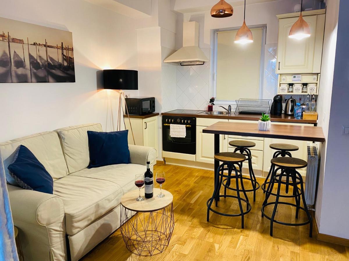 Downtown Studio Lejlighed Cluj-Napoca Eksteriør billede